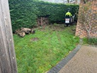 Cutaways drives (46) 03-2026.jpeg